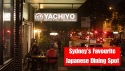 Why Yachiyo Japanese Bistro Darlinghurst Is Sydney’s New Favourite Japanese Dining Spot